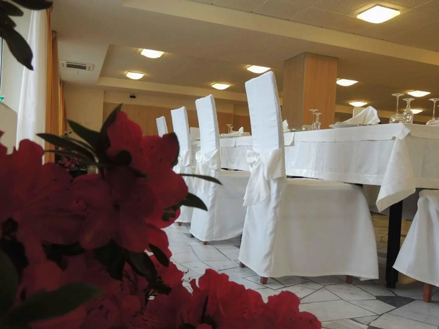 Hotel Delle Rose Restaurant