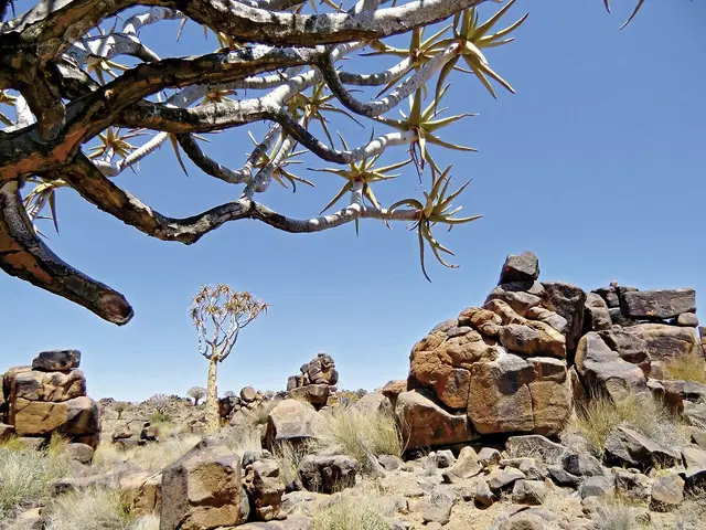 Best of Namibia (Autoreise) LANDSCAPE