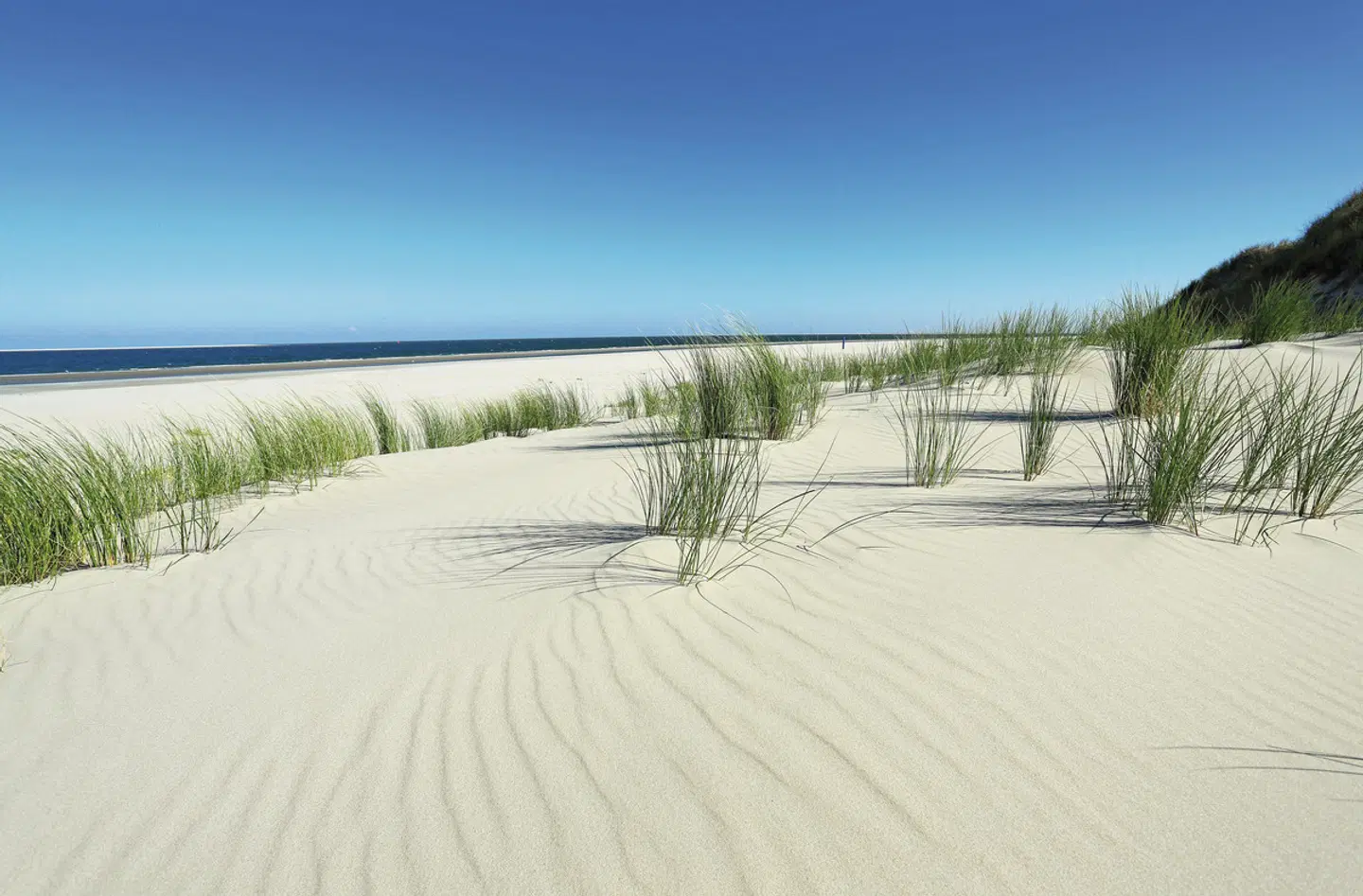 Ostfriesland Inselhüpfen Deluxe Strand