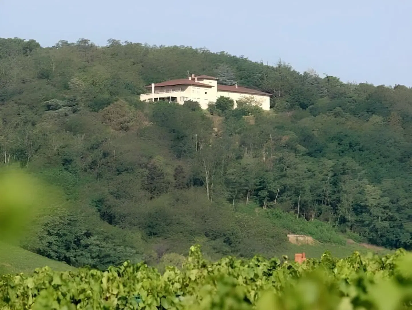 Auberge Les Hauts De Chenas LANDSCAPE