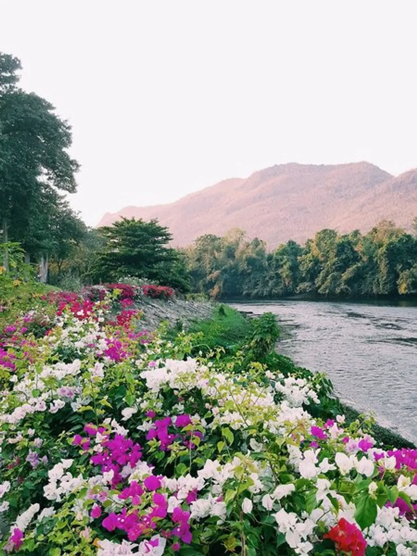 Aek - Pailin River Kwai Hotel LANDSCAPE