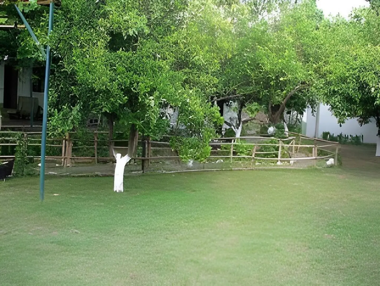 Alibaba Pension Garten