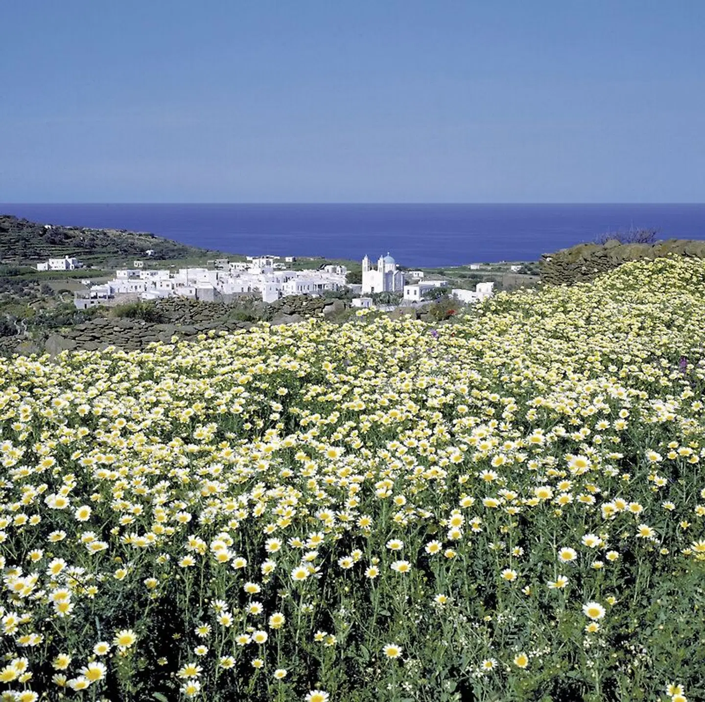 Kykladen-Inselhüpfen: Mykonos, Naxos, Santorin LANDSCAPE