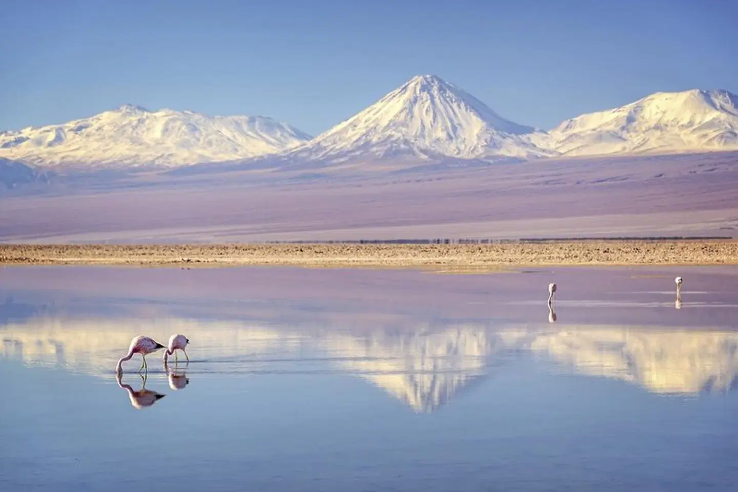 Die große Reise ans Ende der Welt: Von der Atacama bis Kap Hoorn LANDSCAPE