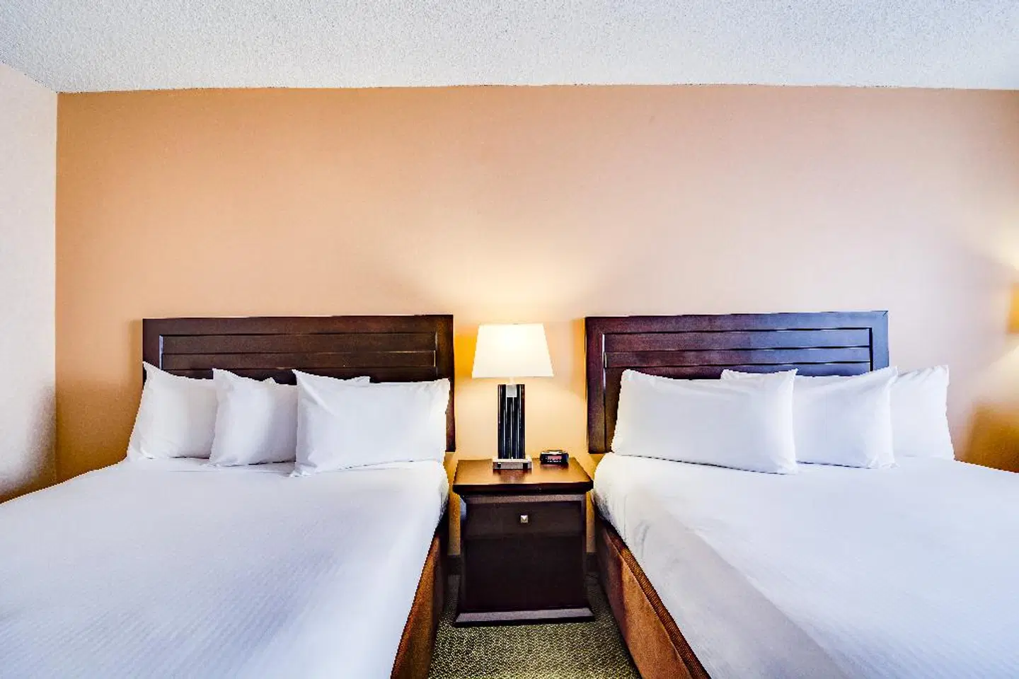 Sawridge Inn and Conference Centre Edmonton South ROOM_EXAMPLE