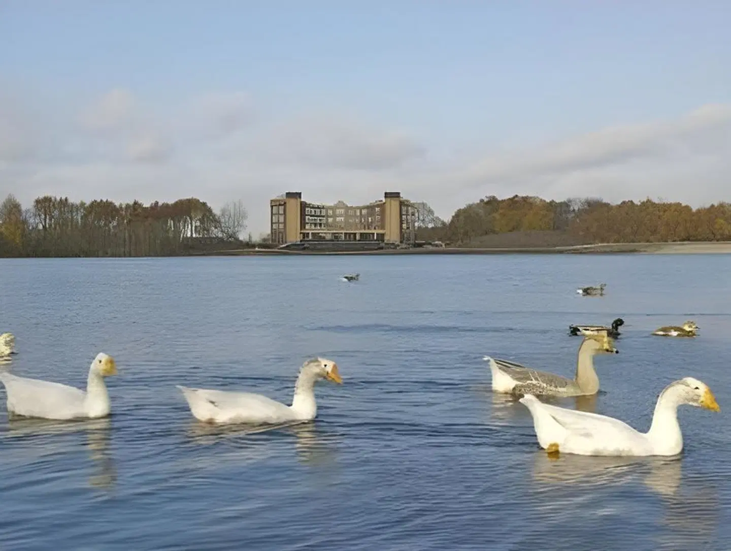 Parkhotel Horst - Hampshire Classic Strand