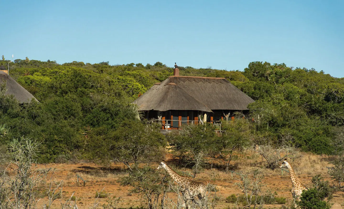 Pumba Private Game Reserve Garten