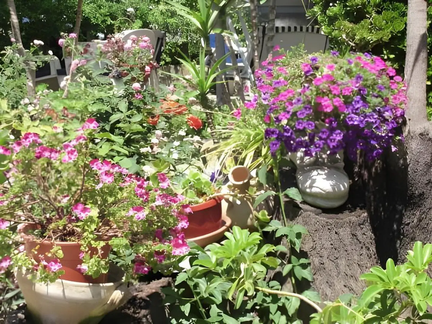 Liberty Garten