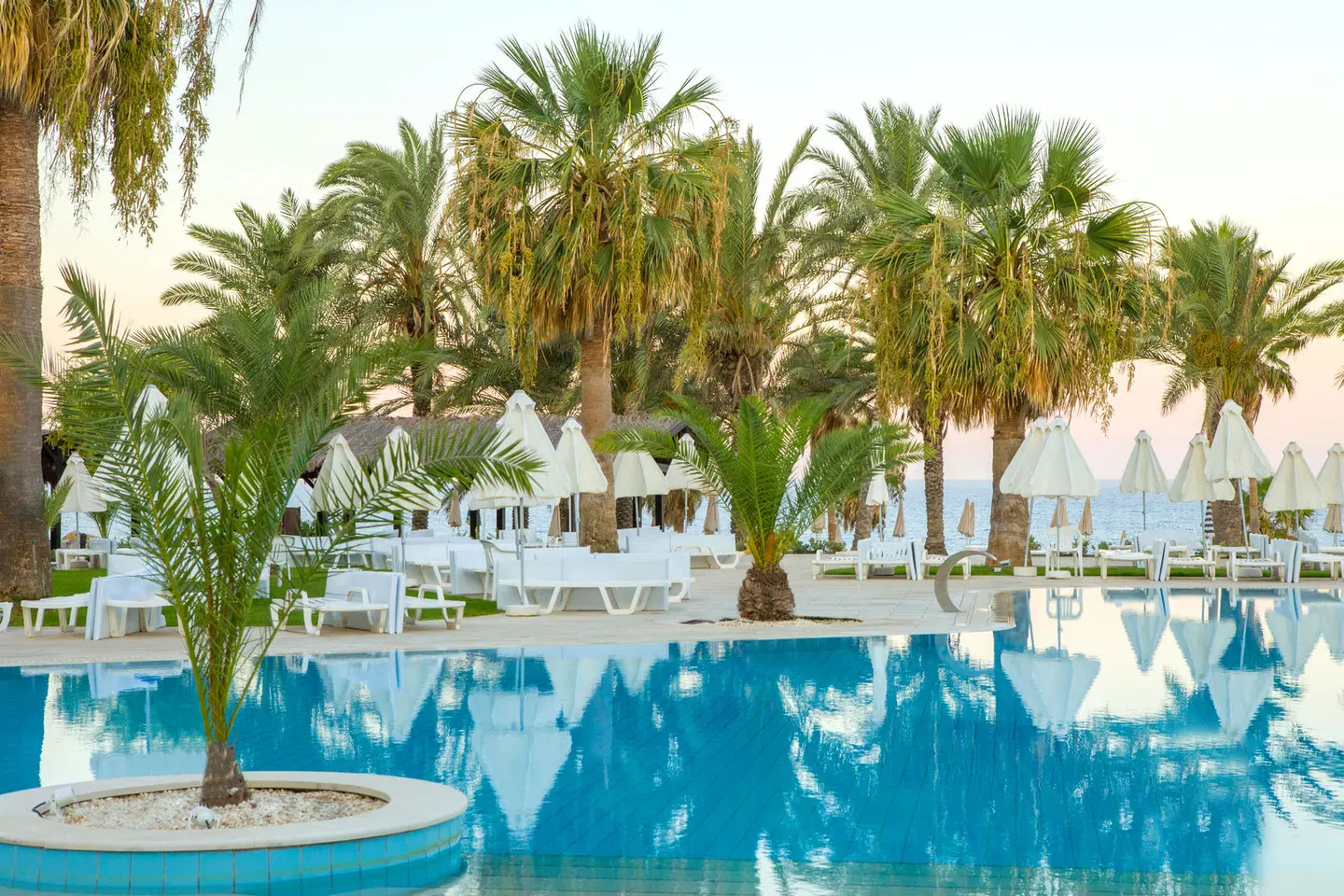 Venus Beach Hotel OUTDOOR_POOL