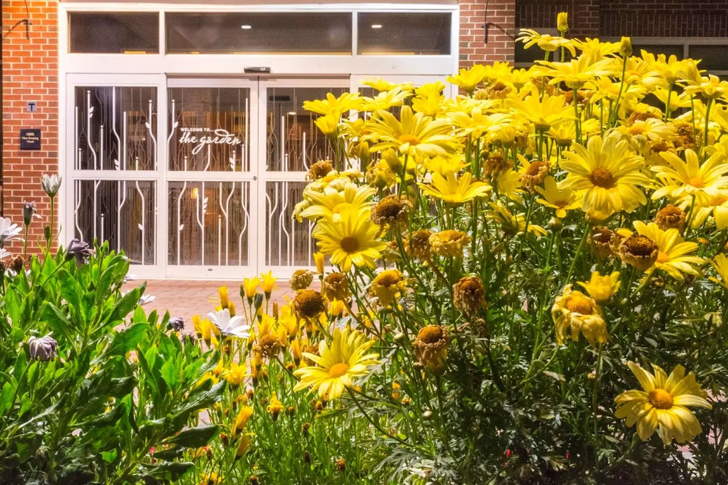Hilton Garden Inn Bangor Garten