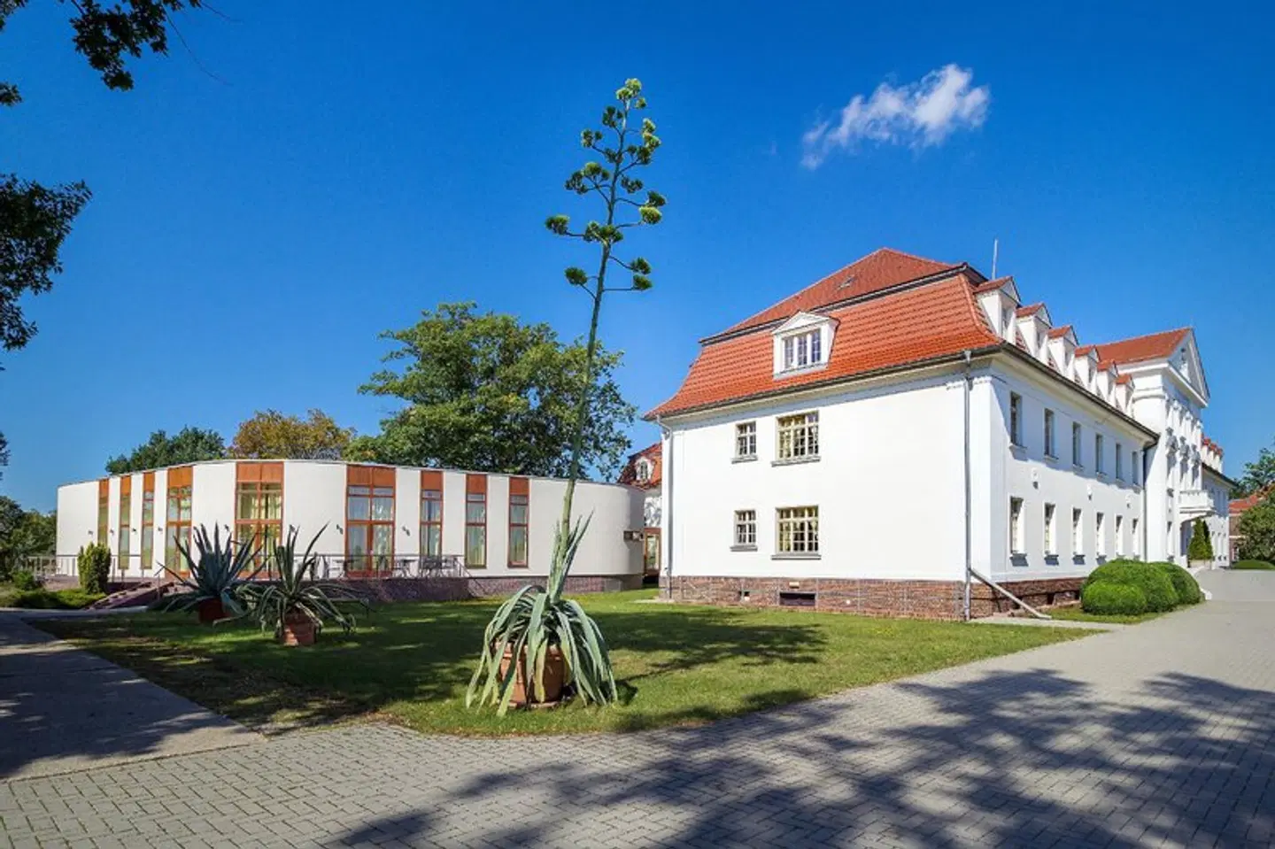 SeeHotel Großräschen Garten