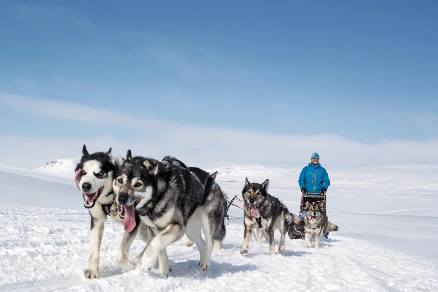 Harriniva - Das Beste von Lappland SPORTS_AND_LEISURE