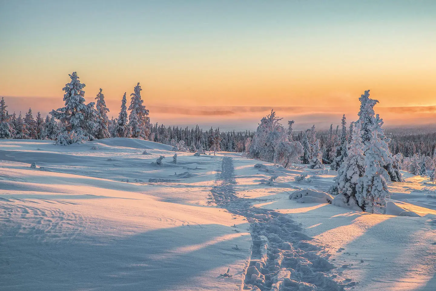 Harriniva - Das Beste von Lappland LANDSCAPE