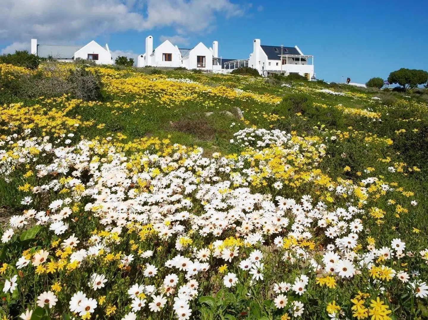 Abalone Hotel & Villa's LANDSCAPE