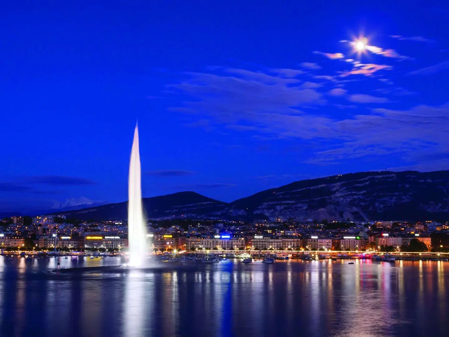 Fairmont Grand Hotel Geneva LANDSCAPE
