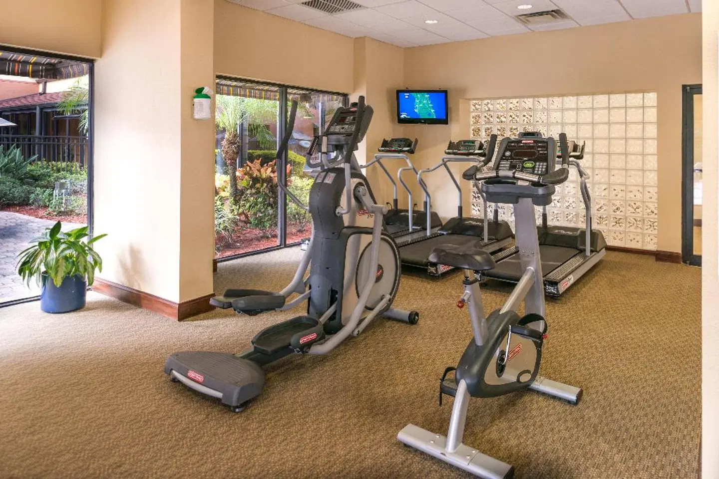 Holiday Inn & Suites Orlando SW - Celebration Area SPORTS_AND_LEISURE