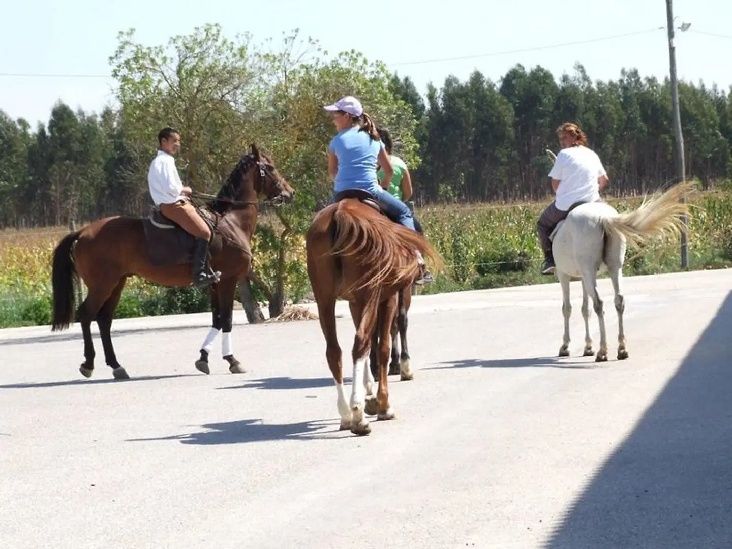 Rural A Coutada SPORTS_AND_LEISURE