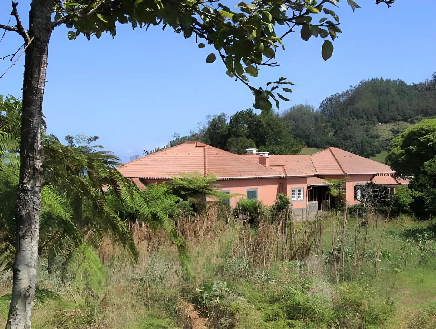 Casa da Tia Clementina EXTERIOR