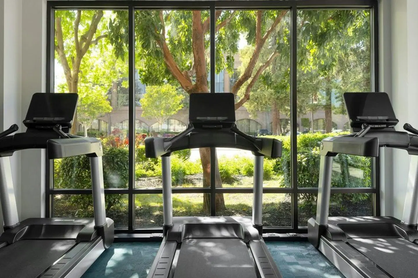 TownePlace Suites by Marriott San Jose Santa Clara SPORTS_AND_LEISURE