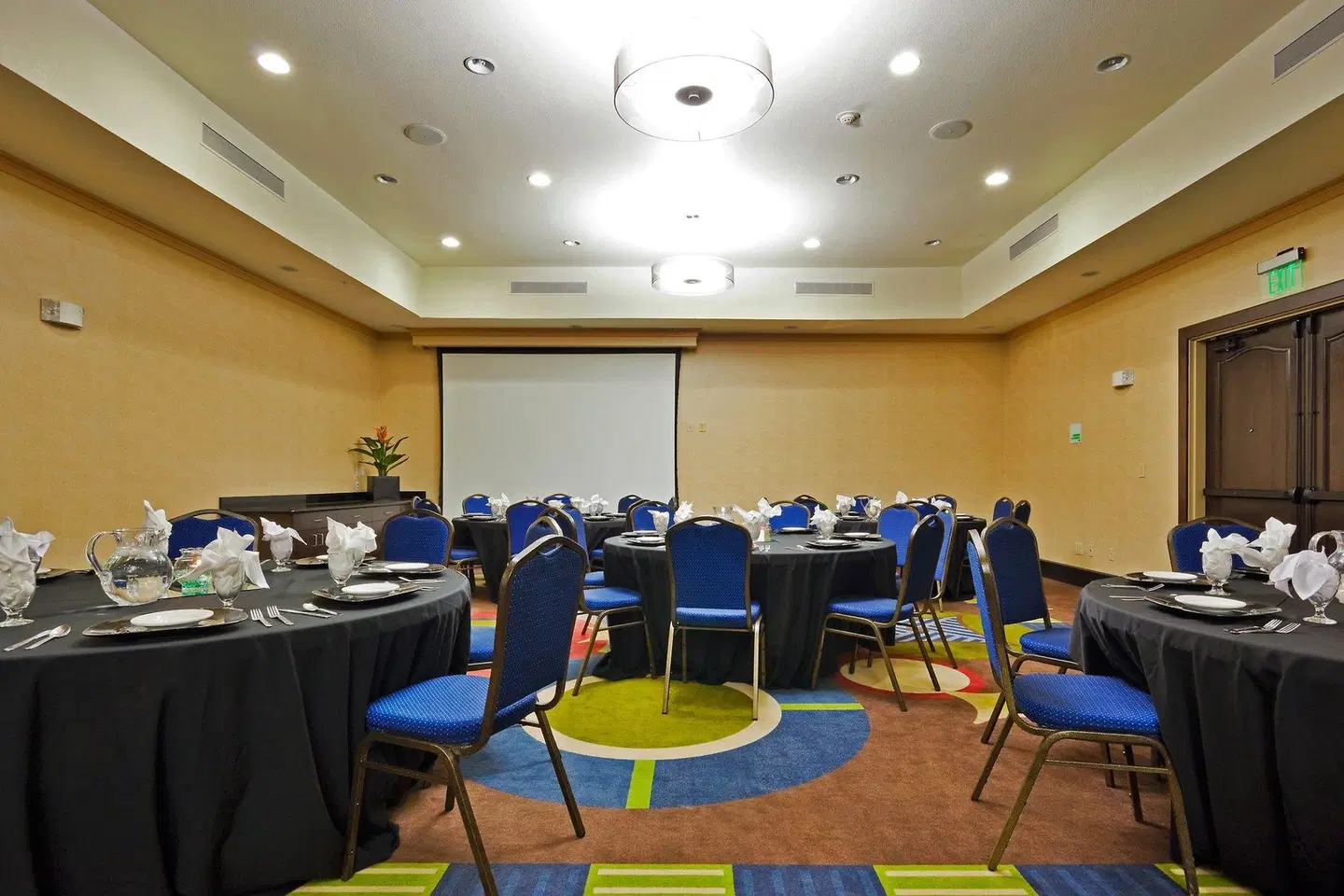 Holiday Inn & Suites Waco Northwest by IHG Konferenz