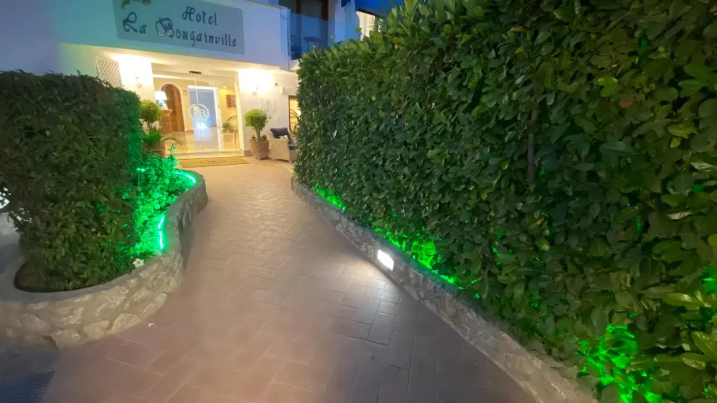 Bougainville Garten