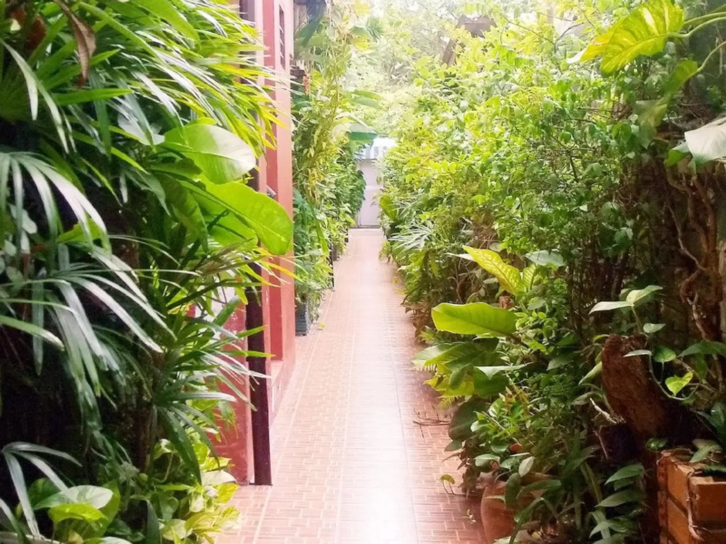 JJ Guesthouse Garten