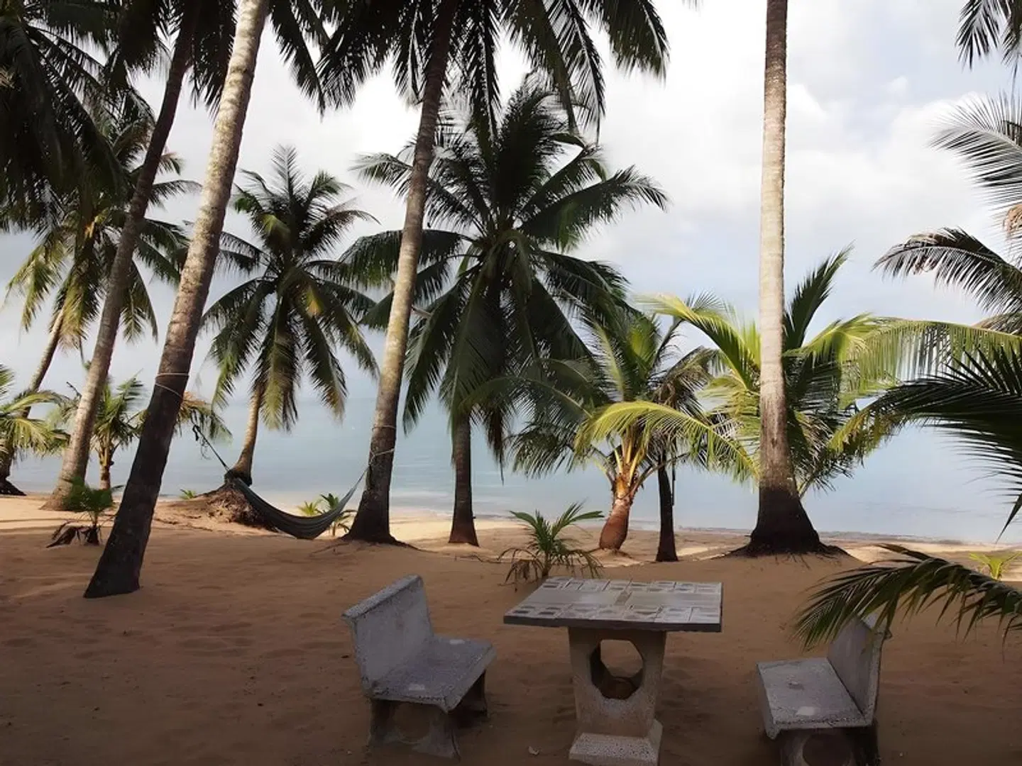 Palm Point Village Terrasse