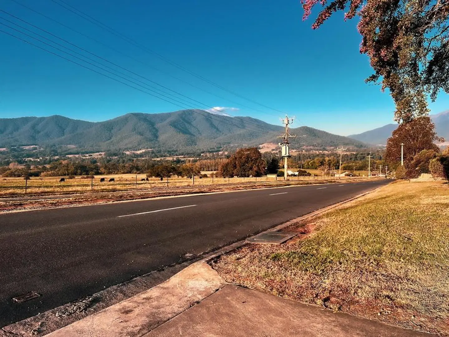 Mountain Creek Motel LANDSCAPE
