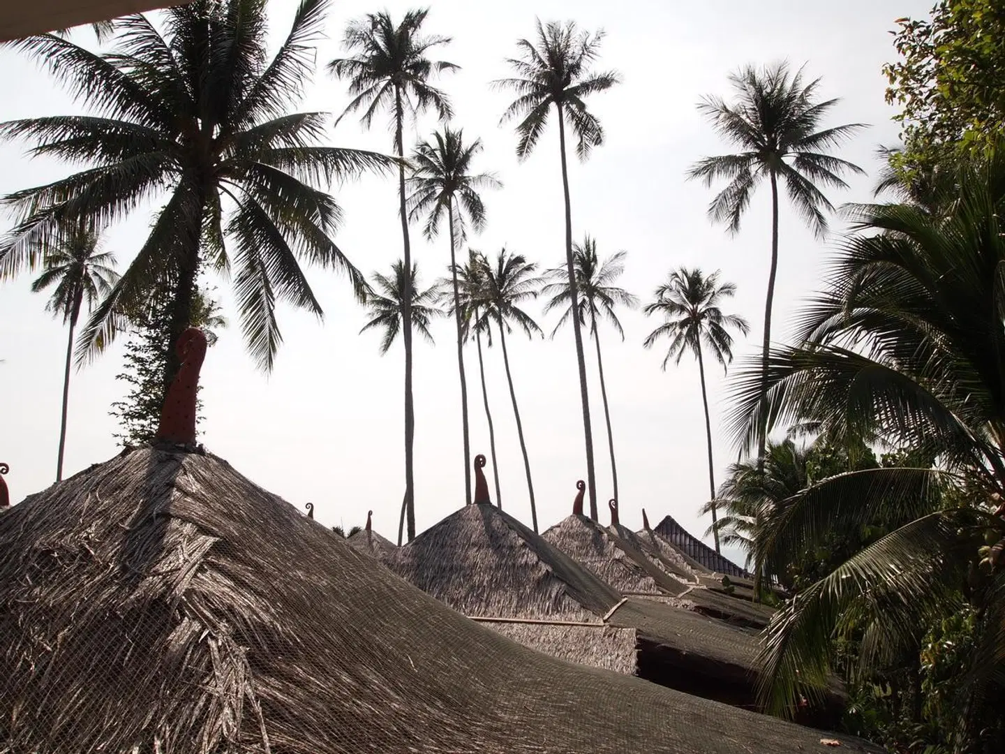 Lipa Bay Resort LANDSCAPE