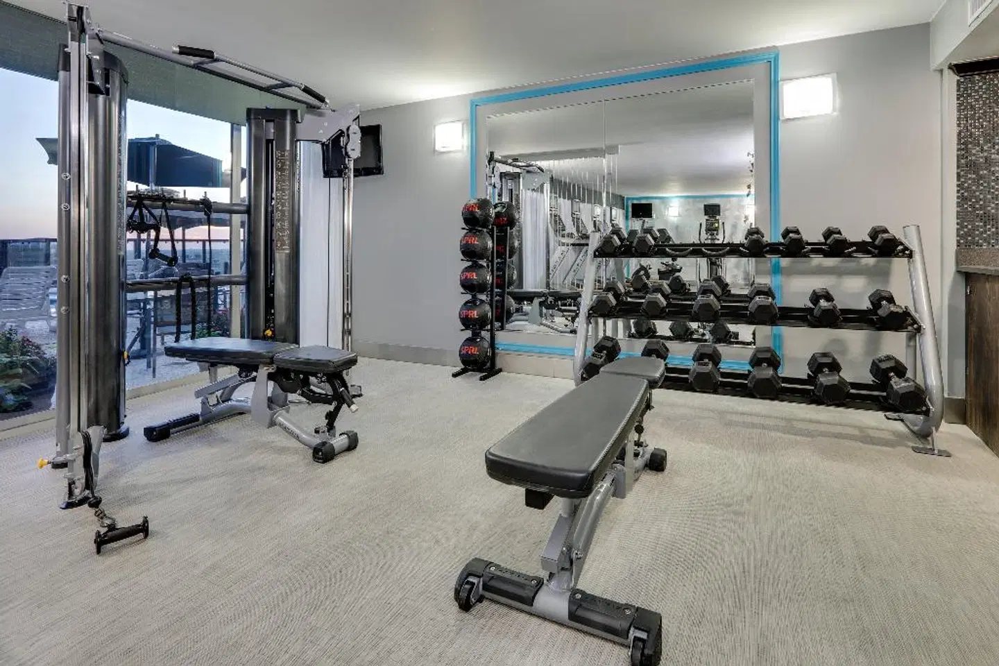 Crowne Plaza Hotel Dallas Downtown by IHG SPORTS_AND_LEISURE