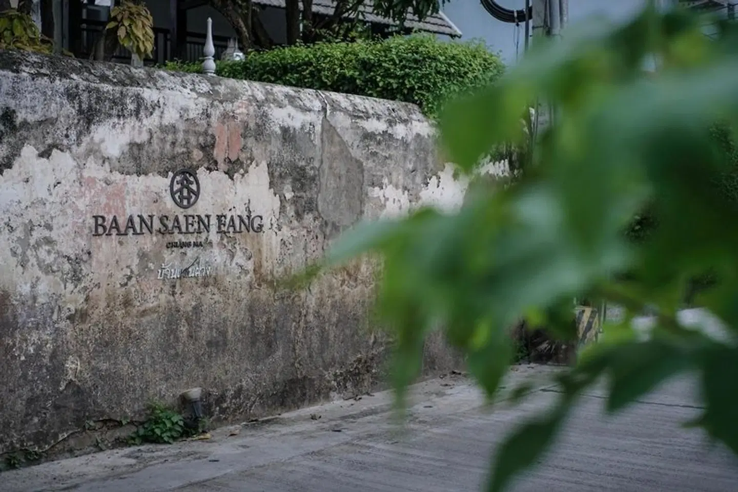 Baan Saen Fang Chiang Mai LANDSCAPE