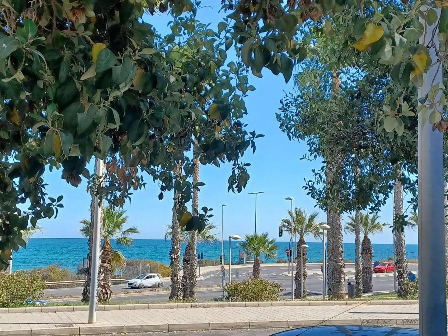 ibis Alicante Garten