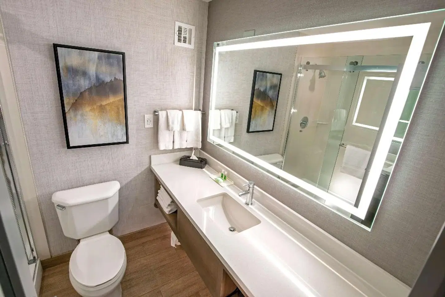 Holiday Inn Buena Park Badezimmer