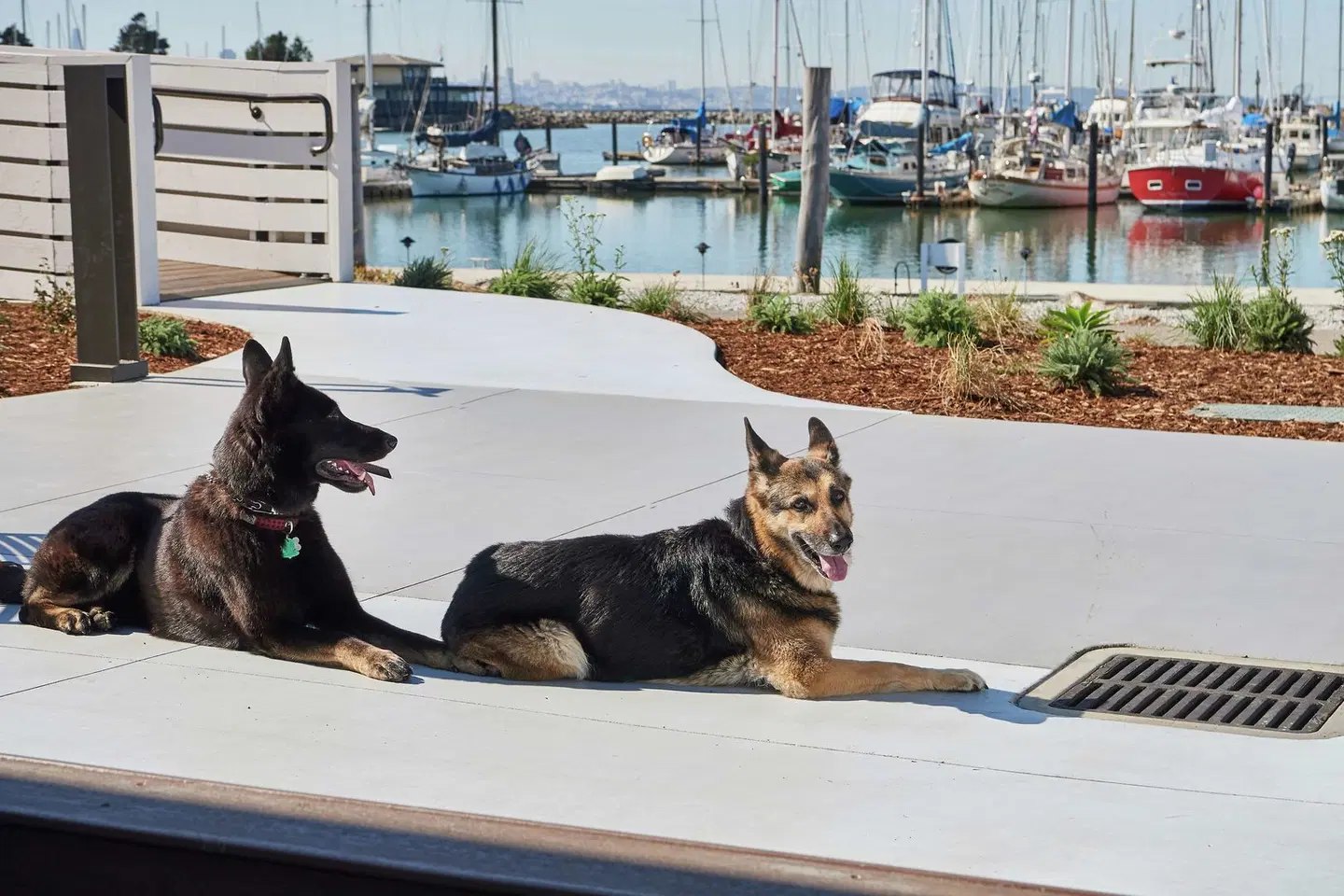 DoubleTree by Hilton Berkeley Marina OUTDOOR_POOL
