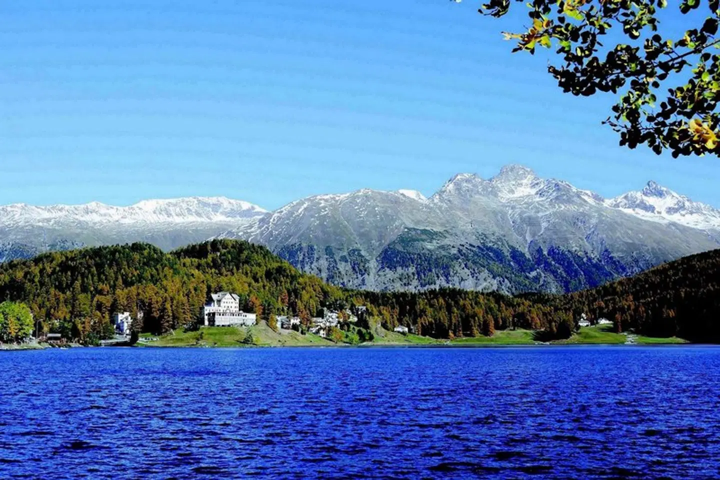 Waldhaus am See LANDSCAPE