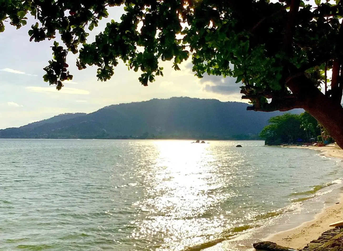 Cinnamon Beach Villas LANDSCAPE