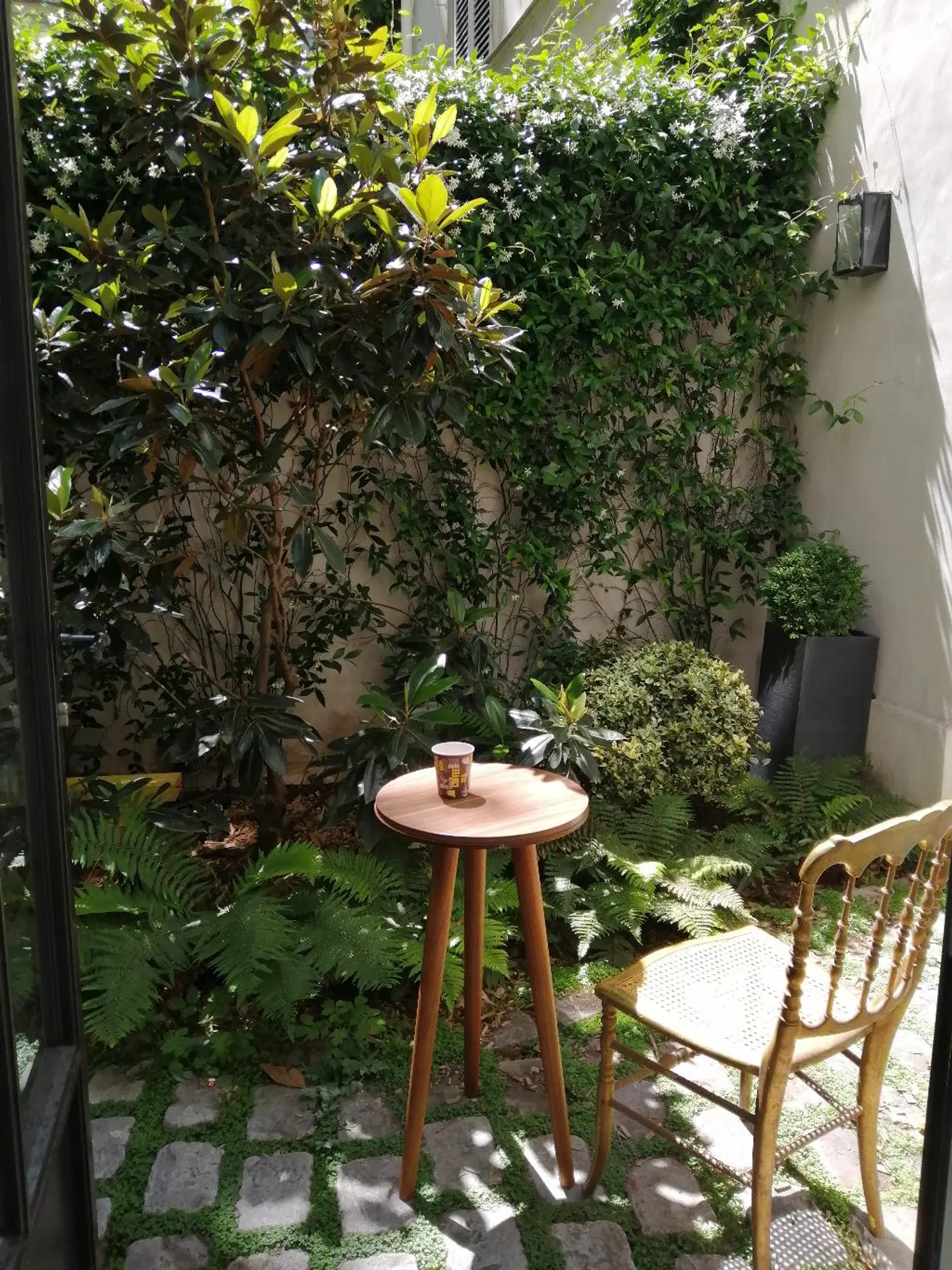 Hôtel Sacha Terrasse