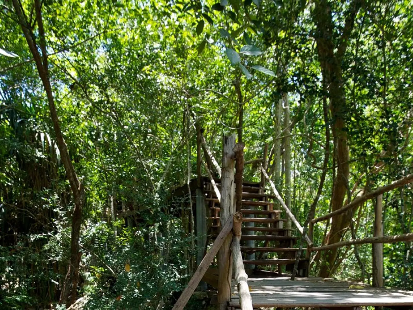 Tanote Villa Hill Koh Tao Garten