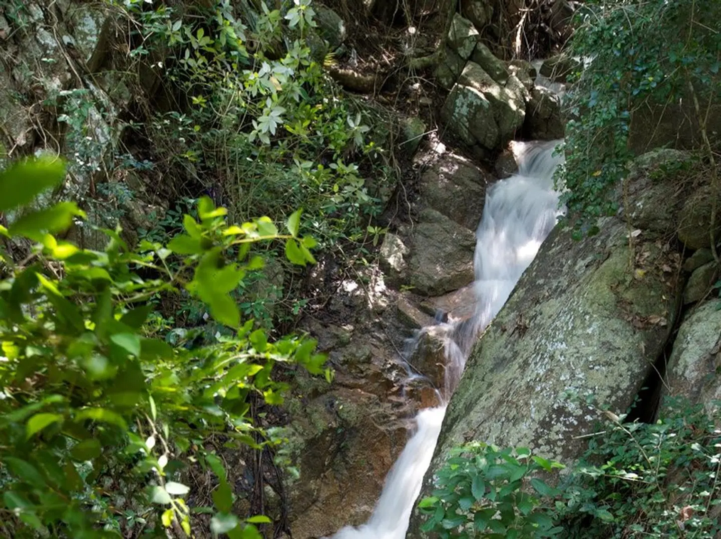 Tanote Villa Hill Koh Tao LANDSCAPE