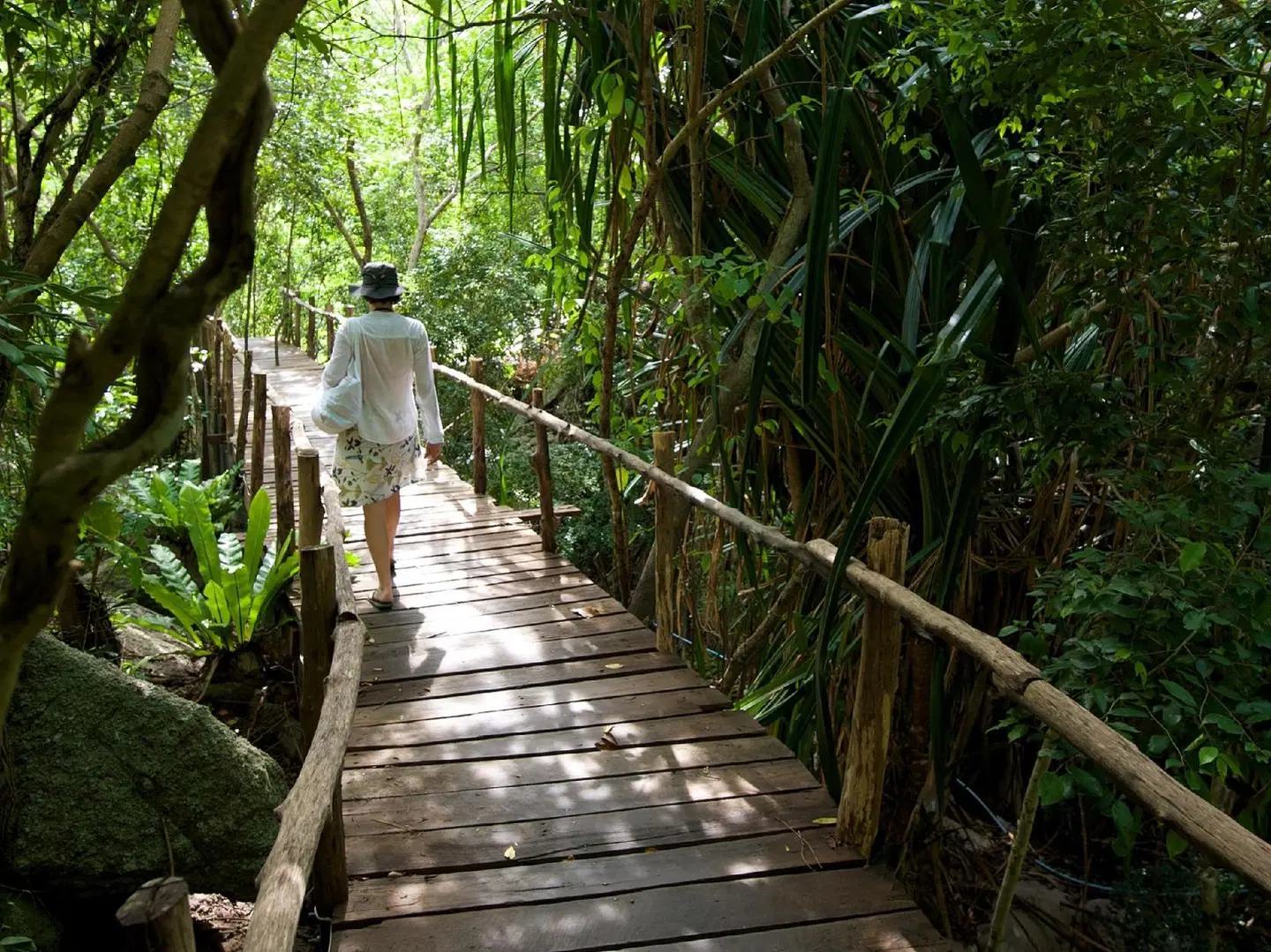 Tanote Villa Hill Koh Tao LANDSCAPE