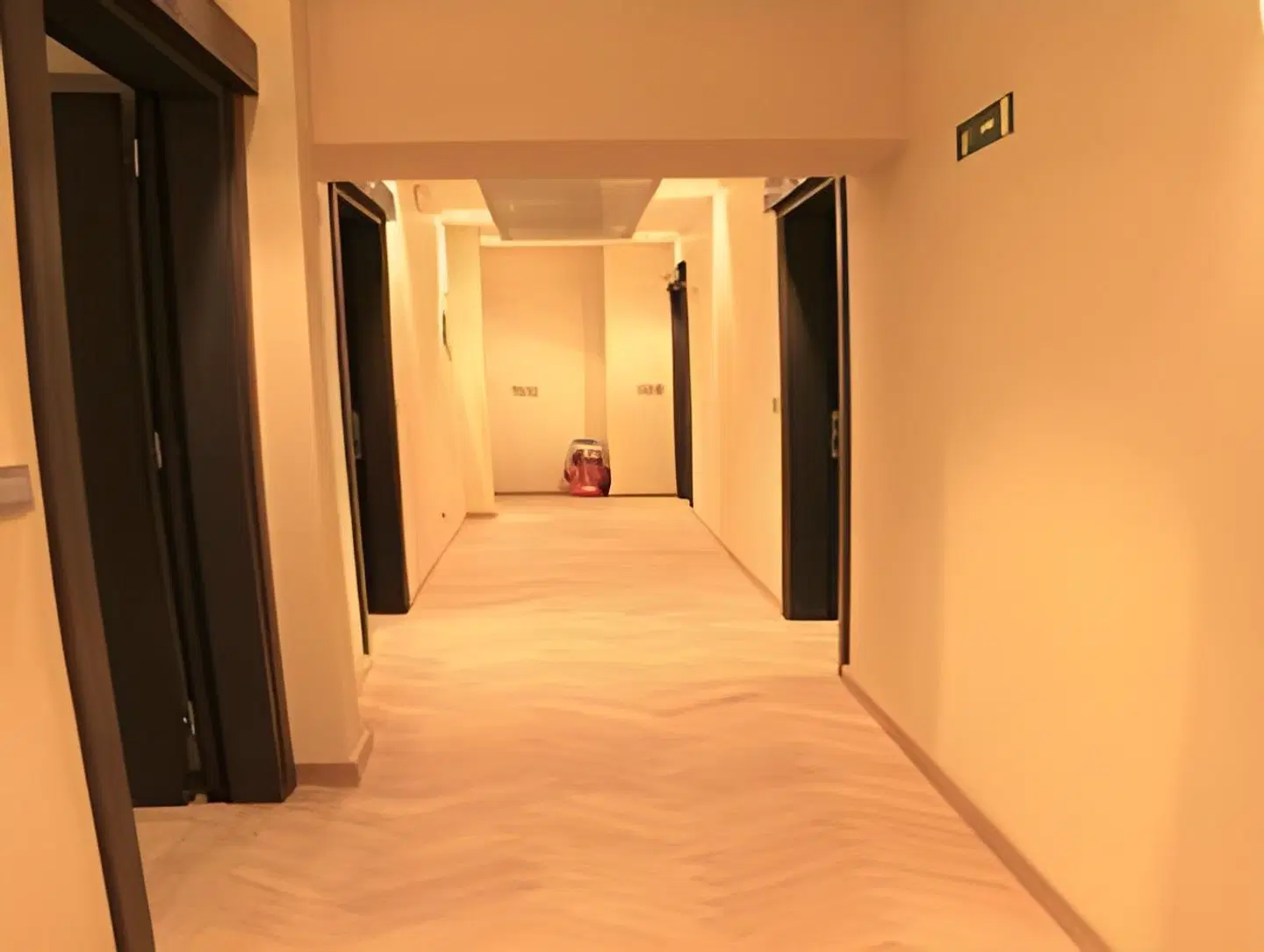 Monti First ROOM_EXAMPLE