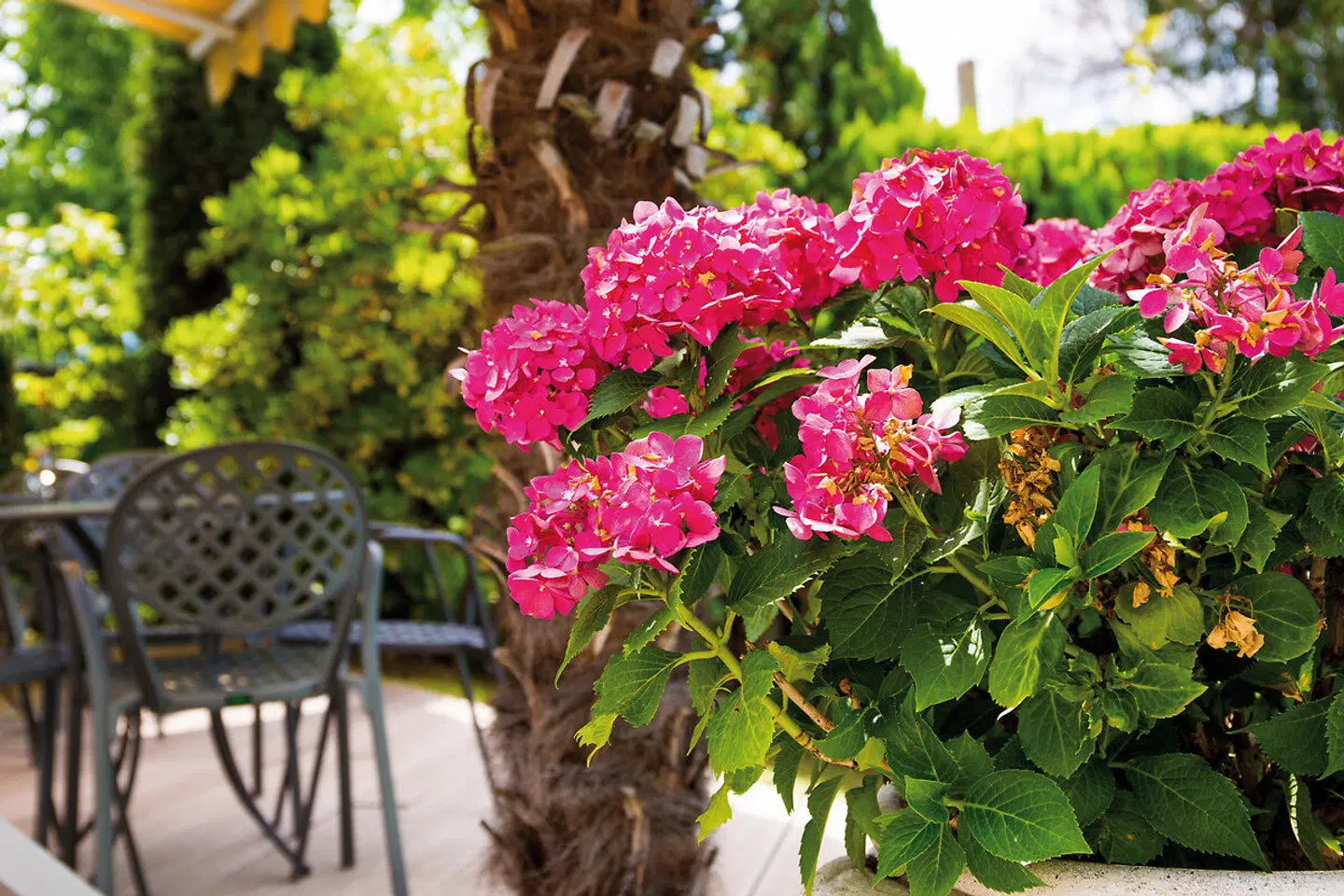 Villa Laurus Garten