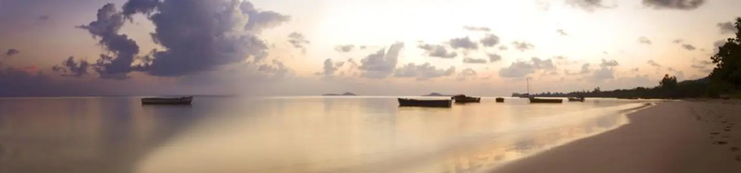 Palm Beach Hotel LANDSCAPE