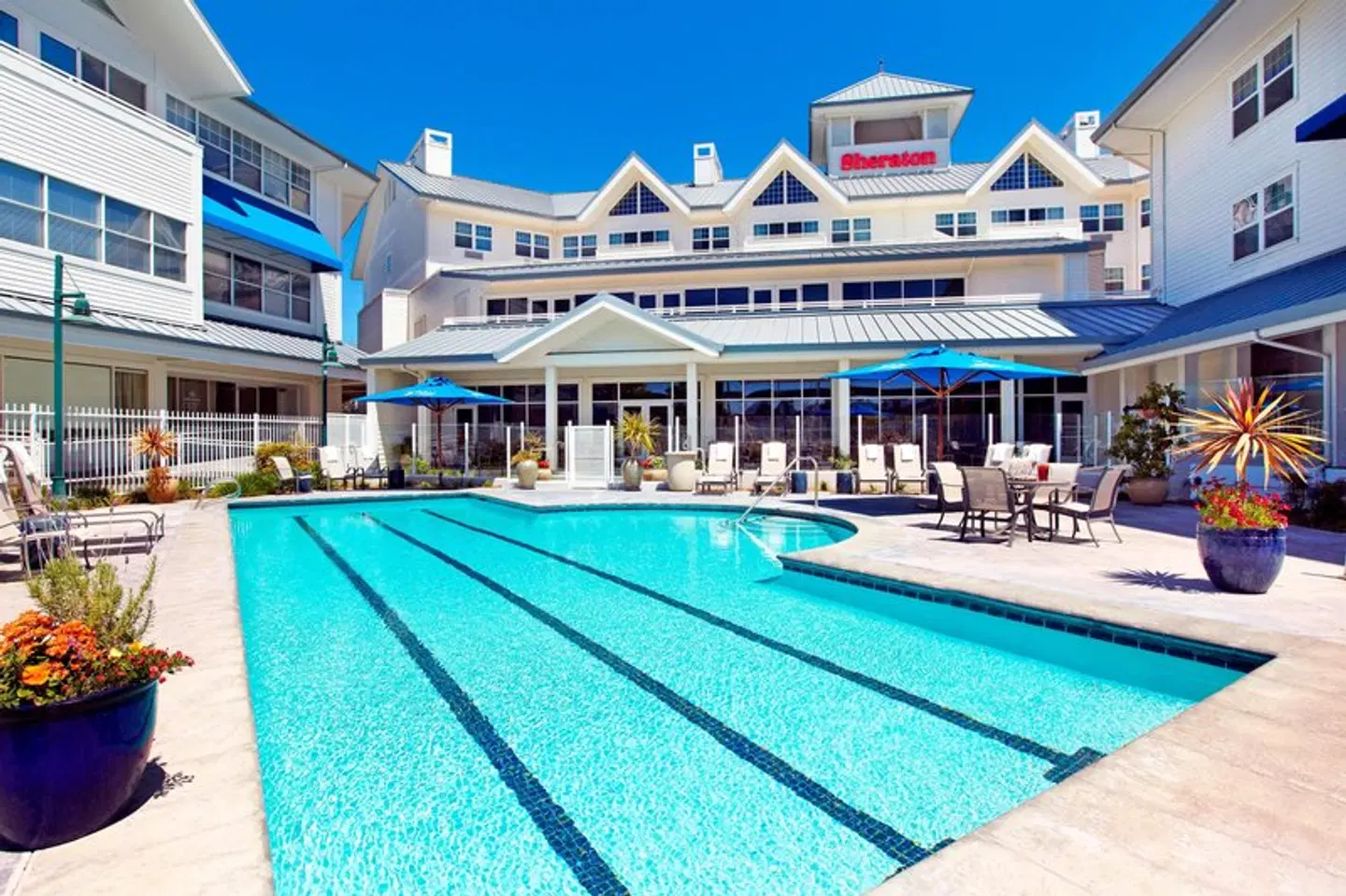 Sheraton Sonoma Wine Country Petaluma OUTDOOR_POOL