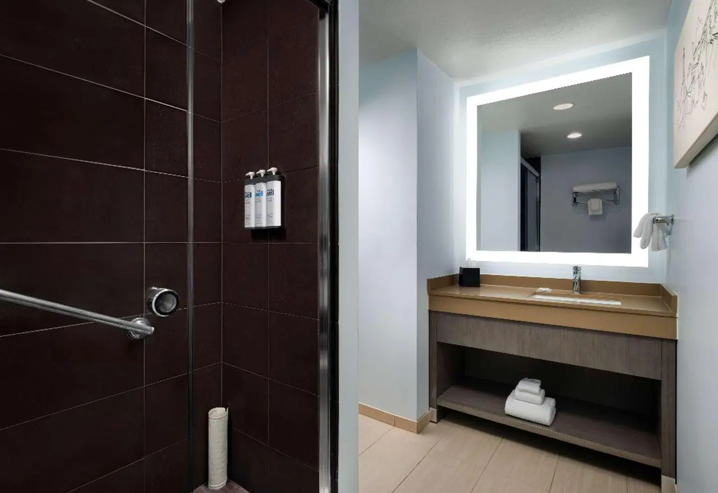 Hyatt House San Diego/Sorrento Mesa Badezimmer