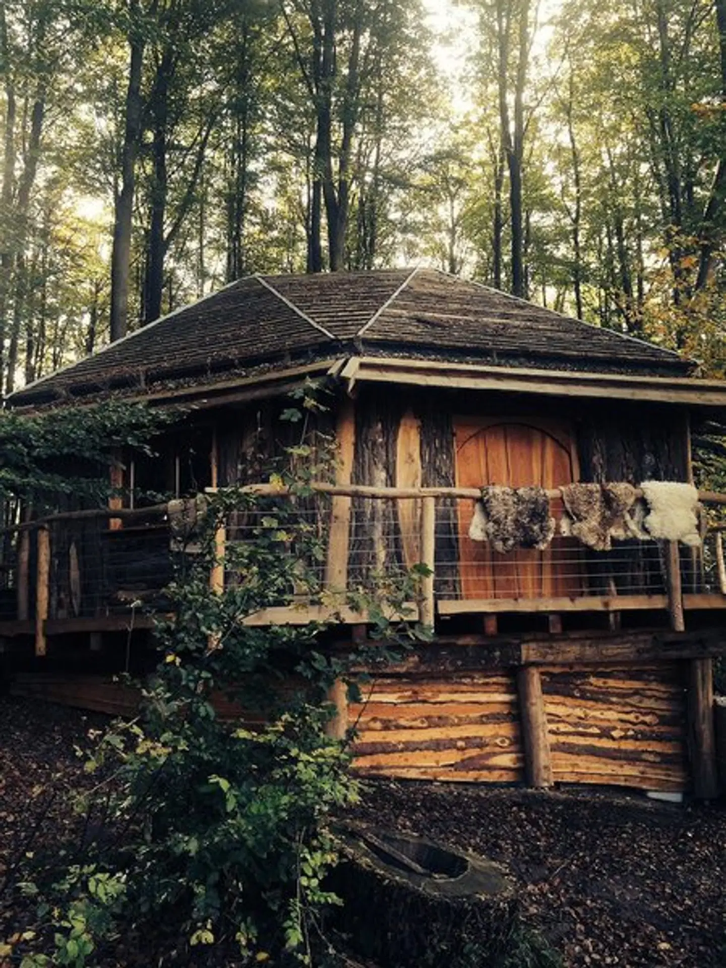 Robins Nest Baumhaushotel EXTERIOR