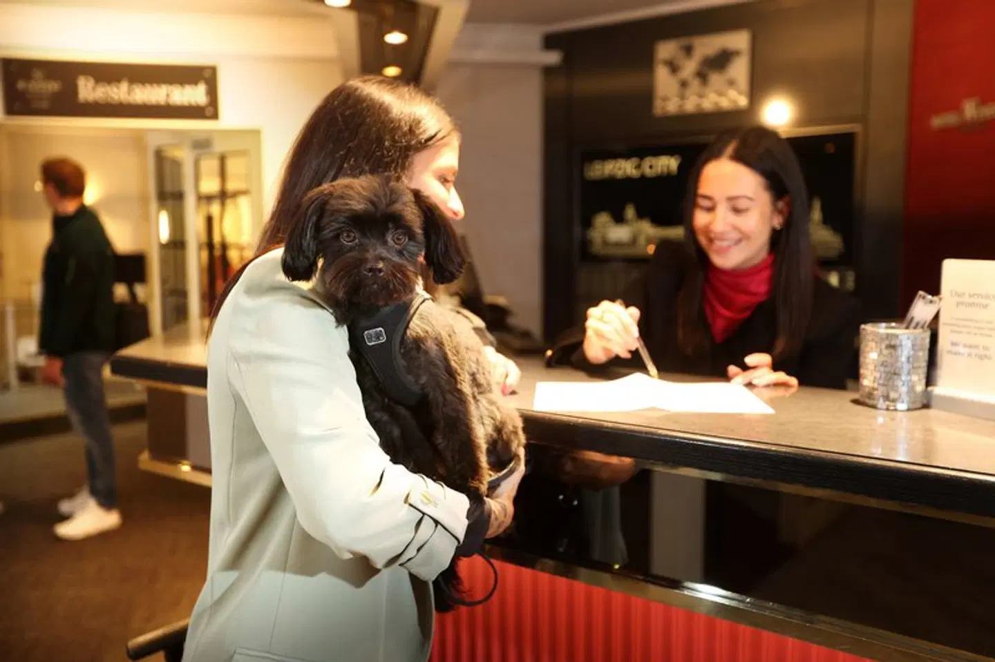 Best Western Hotel Windorf Bar