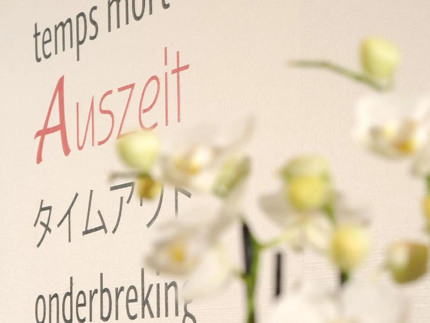Auszeit Tiere