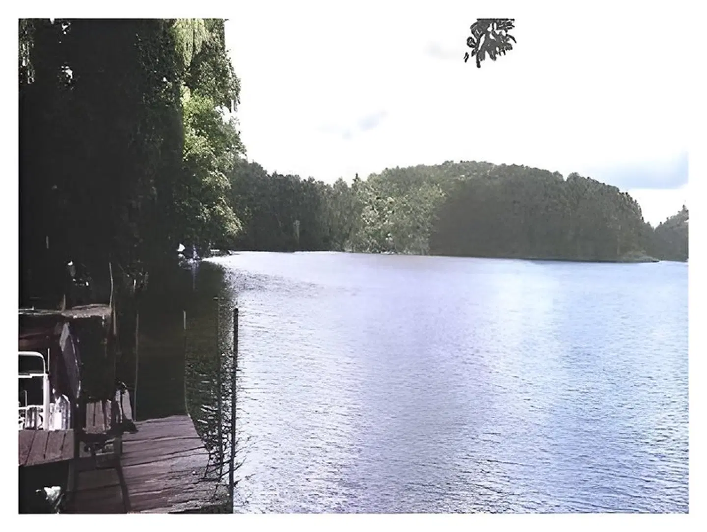 Stadtsee-Pension LANDSCAPE