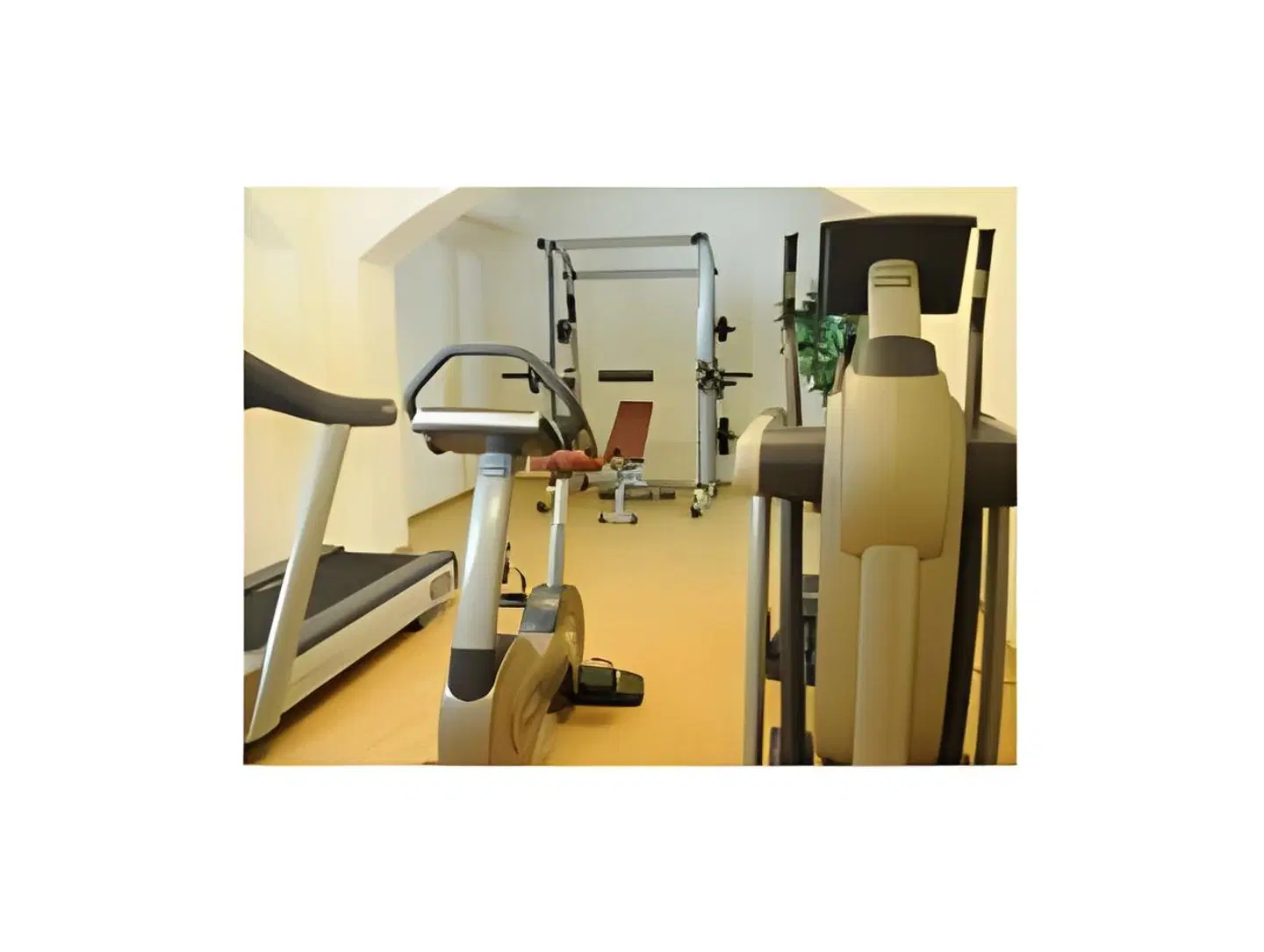 Collegium Leoninum MODEL_IMPRESSION